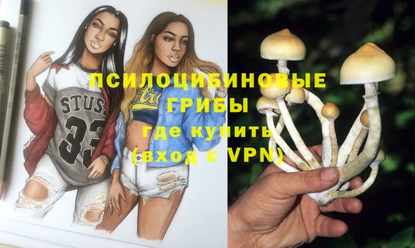 таблы Белокуриха