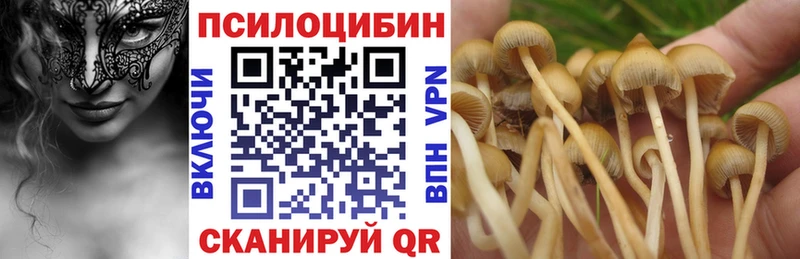 hydra рабочий сайт  Мариинский Посад  Псилоцибиновые грибы мицелий 
